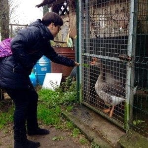 Abbiategrasso - Biomat - Dolcevita.no