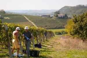 Piemonte